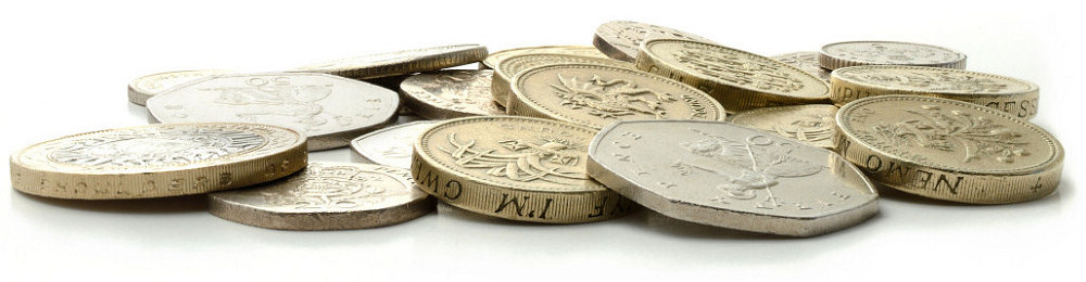 Low value coins illustrating cheapwasp nest removal